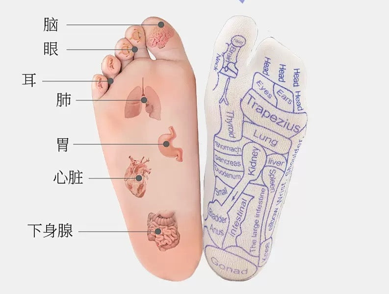 Foot méridien diagramme massage chaussettes soins de pieds
