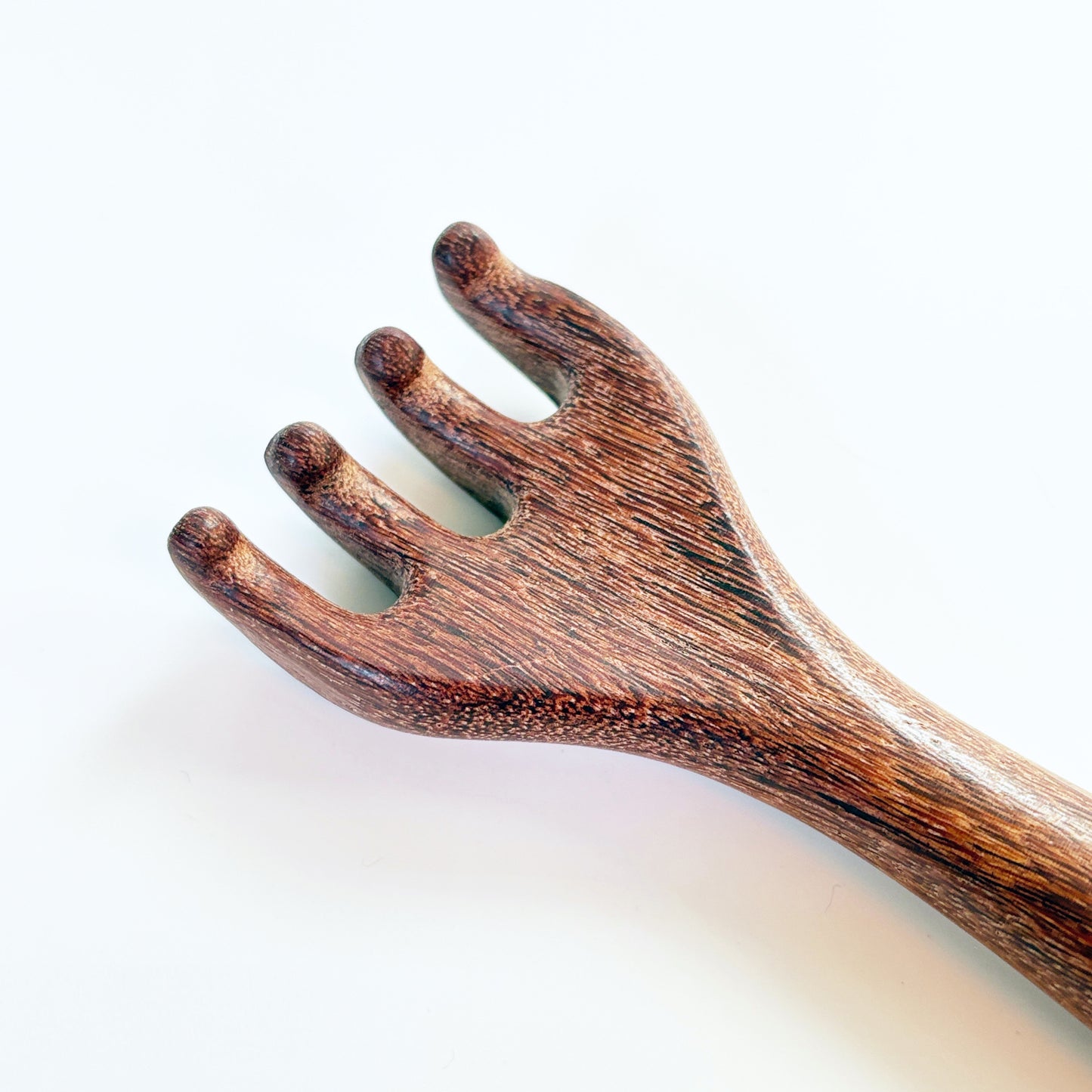 Brosse Spéciale Méridiens pour la Tête