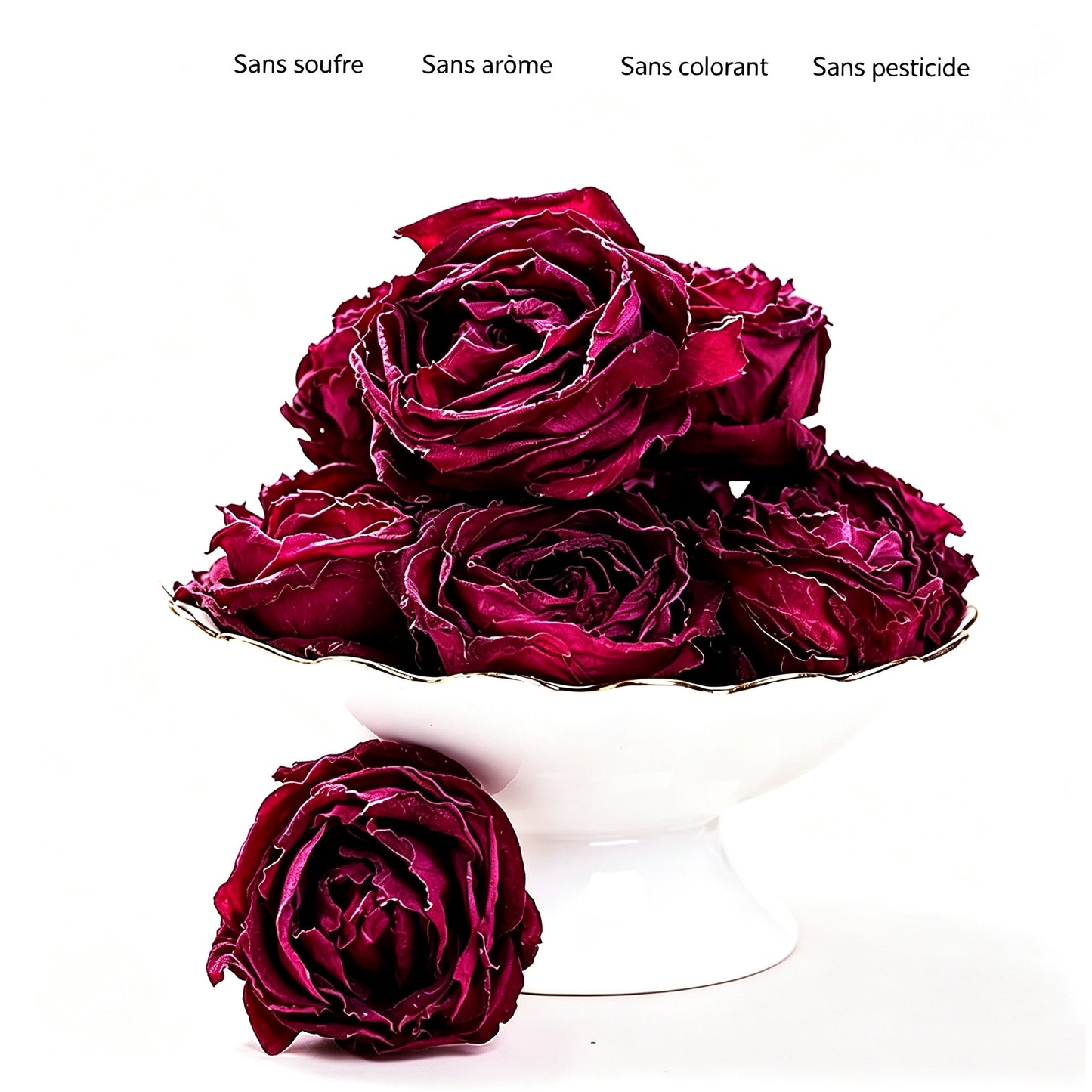 Rose noire de Yunnan