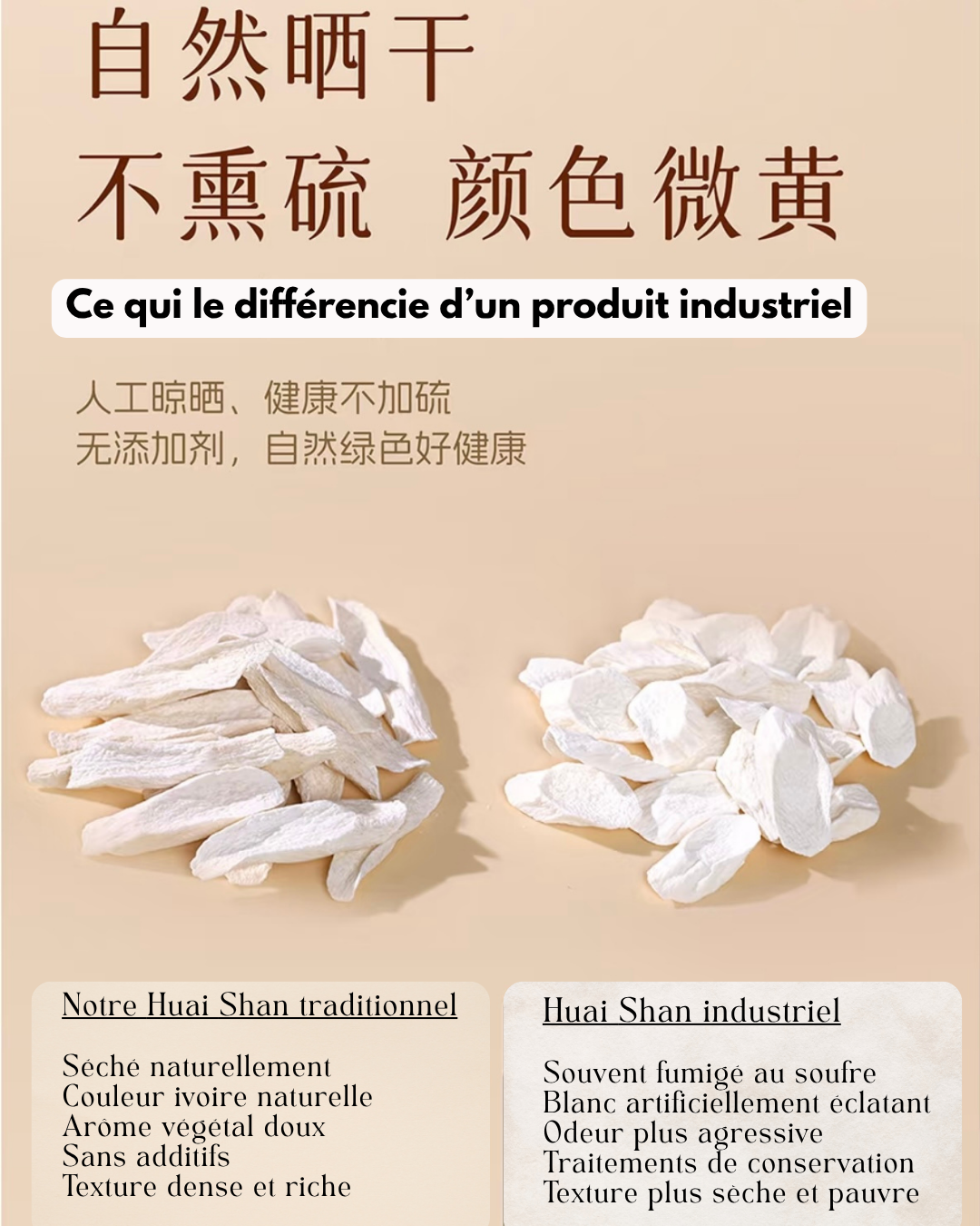 Igname Chinoise « Tiegun » des Terres Minérales du Henan